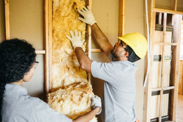 Eco-Friendly Insulation Solutions